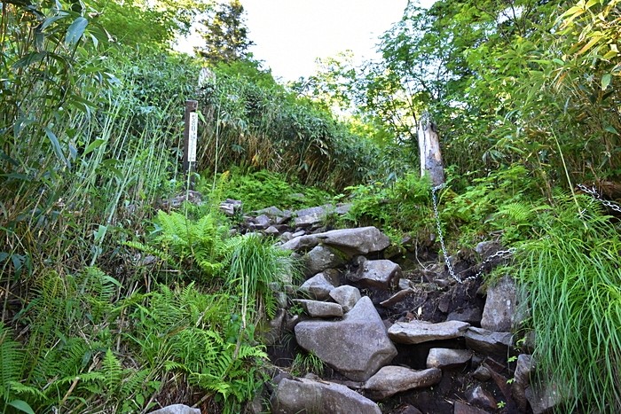 f:id:threepeaks:20210718200937j:plain