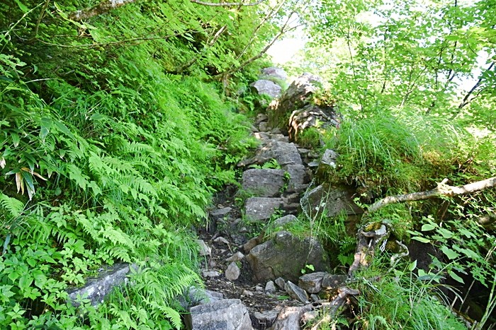 f:id:threepeaks:20210718201042j:plain