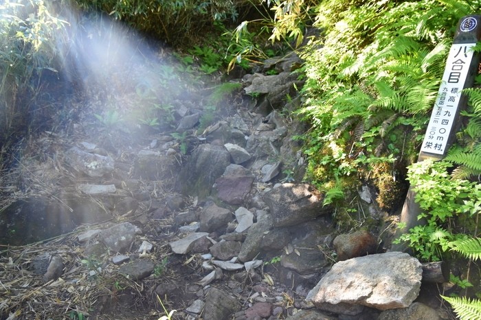 f:id:threepeaks:20210718201156j:plain