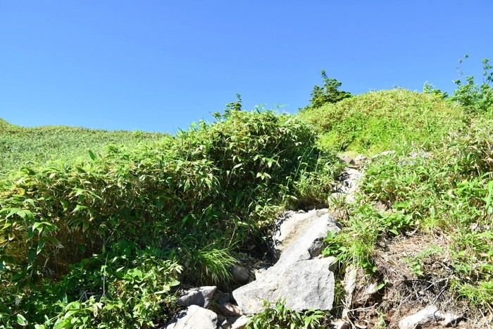 f:id:threepeaks:20210718202256j:plain