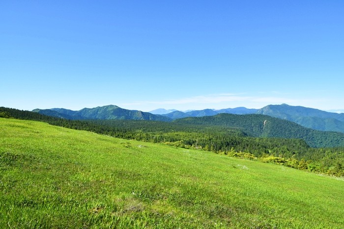 f:id:threepeaks:20210718204345j:plain