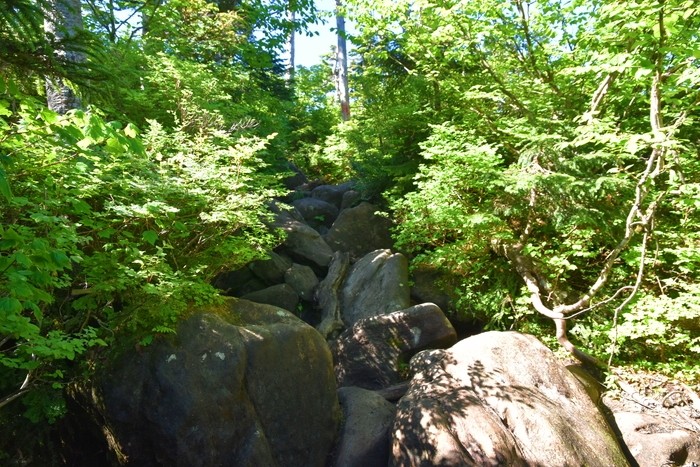 f:id:threepeaks:20210718210106j:plain