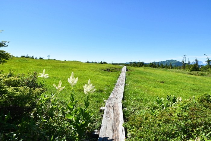 f:id:threepeaks:20210718211114j:plain