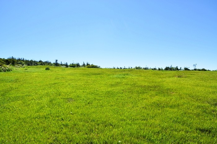 f:id:threepeaks:20210718211310j:plain