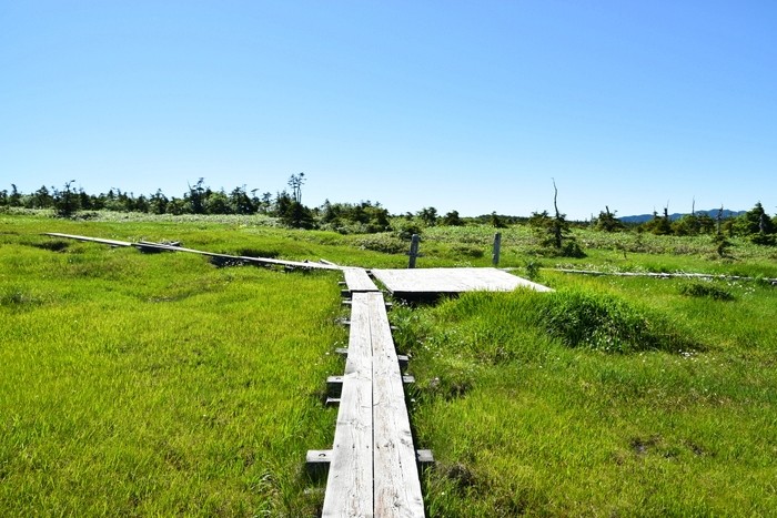 f:id:threepeaks:20210718211326j:plain