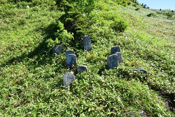 f:id:threepeaks:20210718211547j:plain