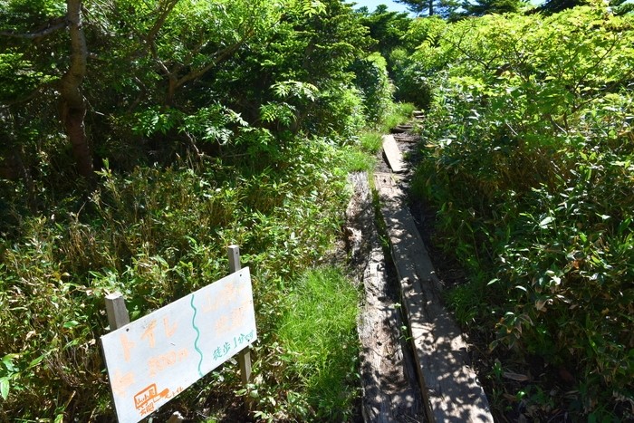 f:id:threepeaks:20210718212731j:plain