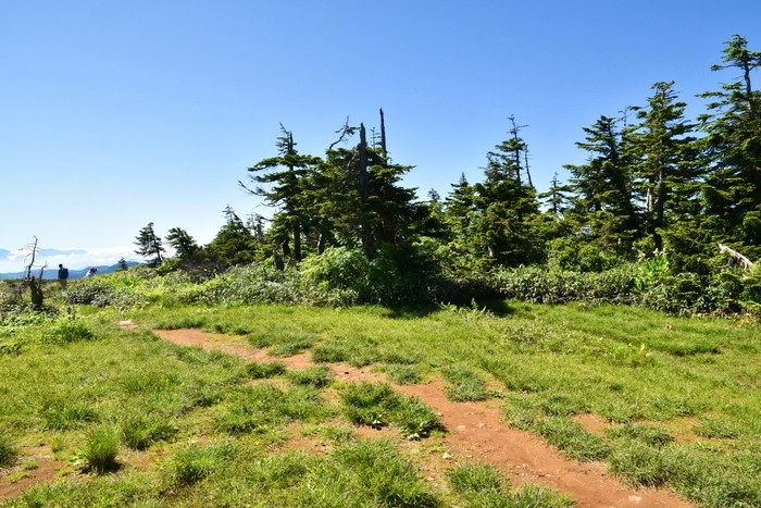 f:id:threepeaks:20210718212853j:plain