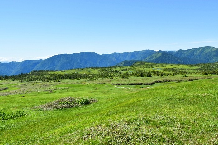 f:id:threepeaks:20210718214027j:plain