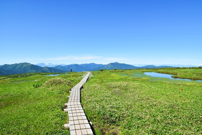 f:id:threepeaks:20210718214557j:plain