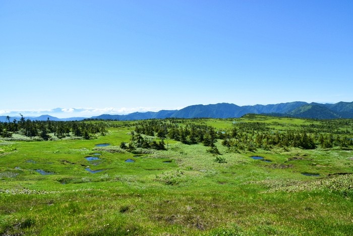 f:id:threepeaks:20210718214738j:plain