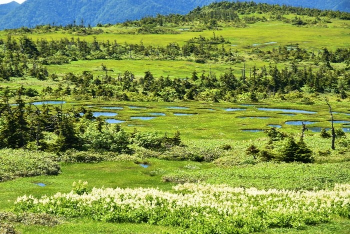 f:id:threepeaks:20210718214951j:plain