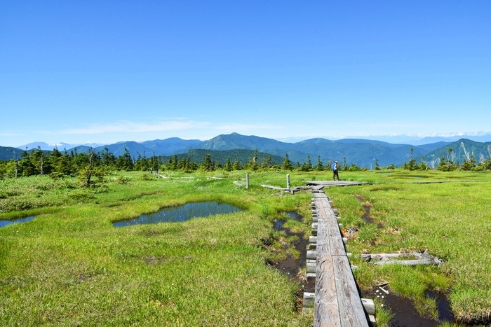 f:id:threepeaks:20210718215557j:plain