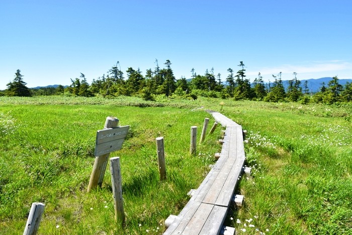 f:id:threepeaks:20210718215637j:plain