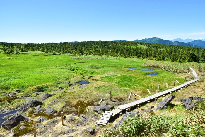 f:id:threepeaks:20210718215810j:plain