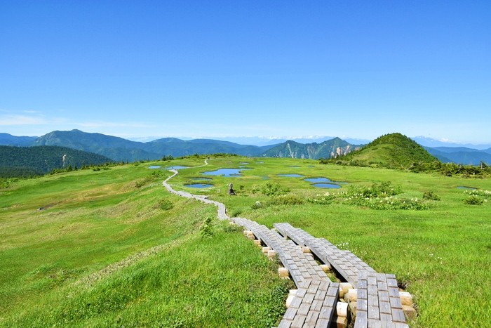 f:id:threepeaks:20210718215956j:plain