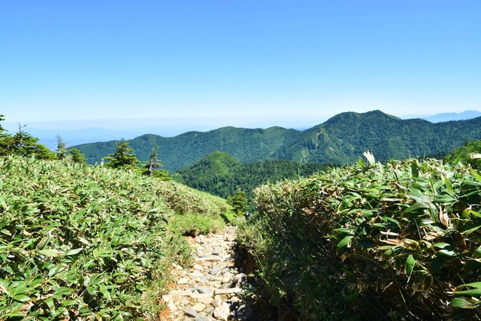 f:id:threepeaks:20210718220755j:plain