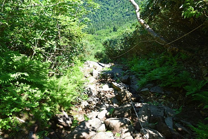 f:id:threepeaks:20210718220832j:plain