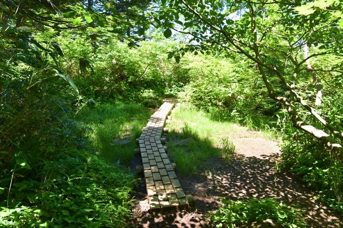 f:id:threepeaks:20210718221213j:plain