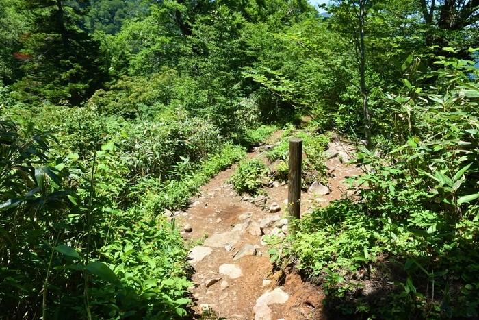 f:id:threepeaks:20210718221228j:plain