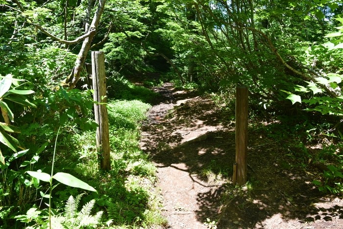 f:id:threepeaks:20210718221542j:plain