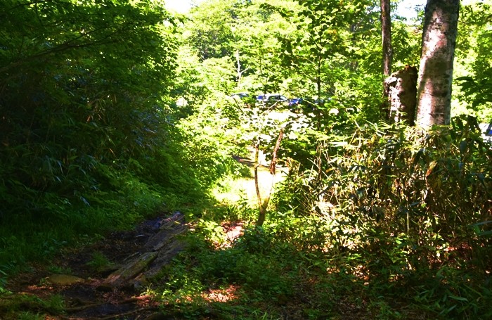 f:id:threepeaks:20210718221553j:plain