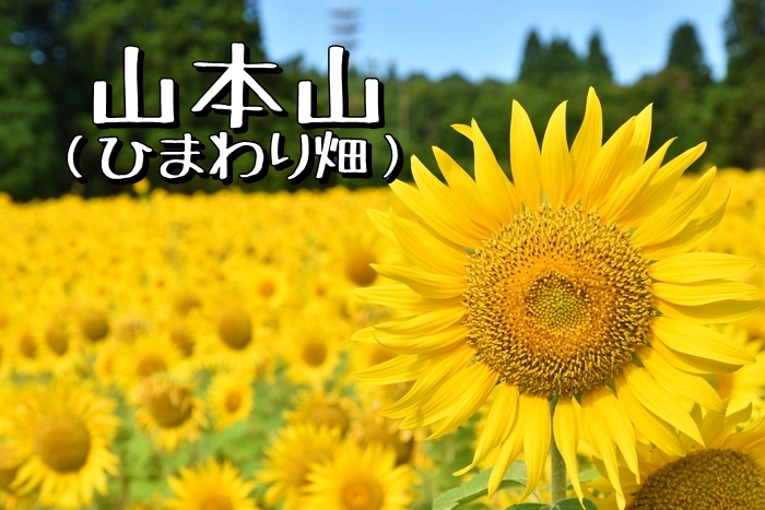 f:id:threepeaks:20210807130024j:plain