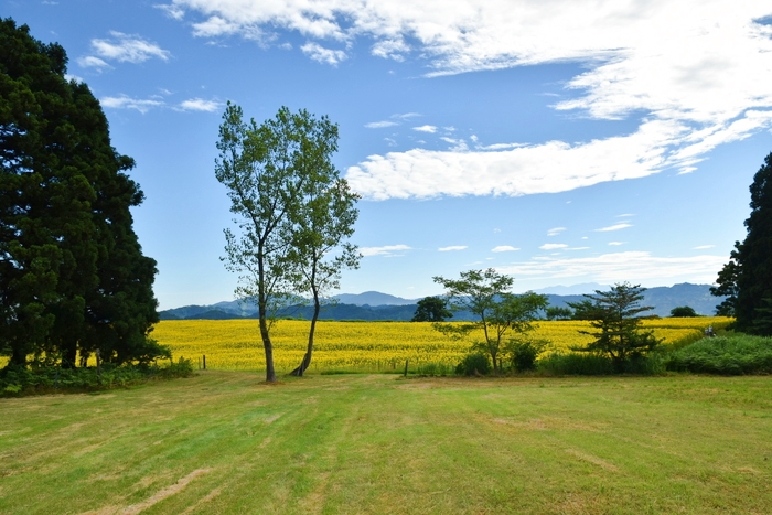 f:id:threepeaks:20210807133300j:plain