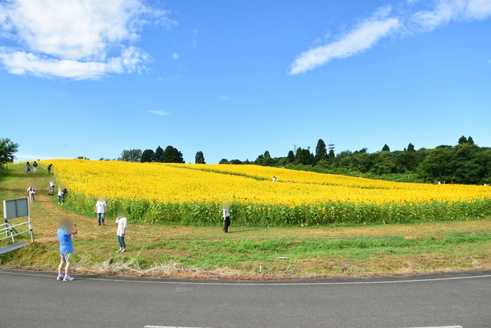 f:id:threepeaks:20210807203107j:plain