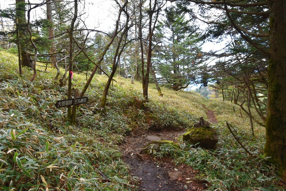 f:id:threepeaks:20211028215411j:plain