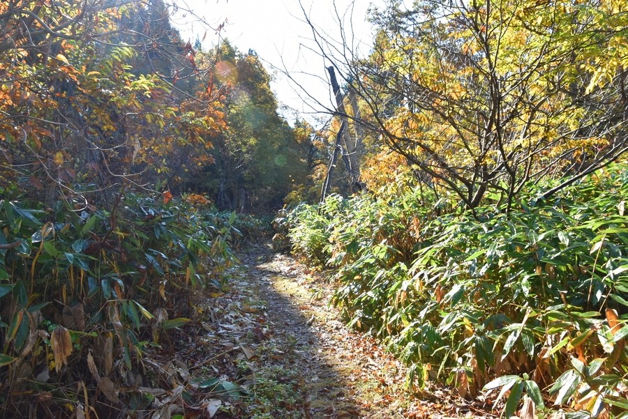 f:id:threepeaks:20211109212933j:plain