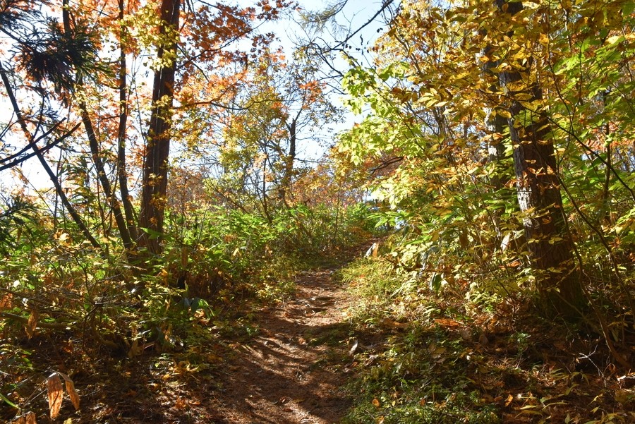 f:id:threepeaks:20211109213312j:plain