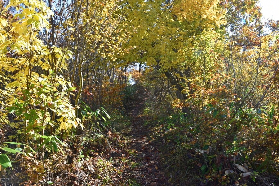 f:id:threepeaks:20211109213409j:plain