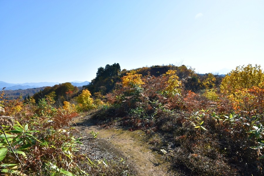 f:id:threepeaks:20211109213529j:plain