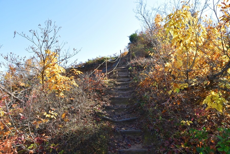 f:id:threepeaks:20211110195721j:plain