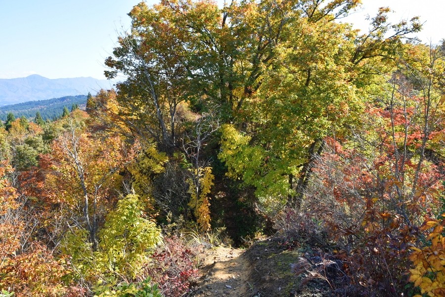 f:id:threepeaks:20211110200524j:plain