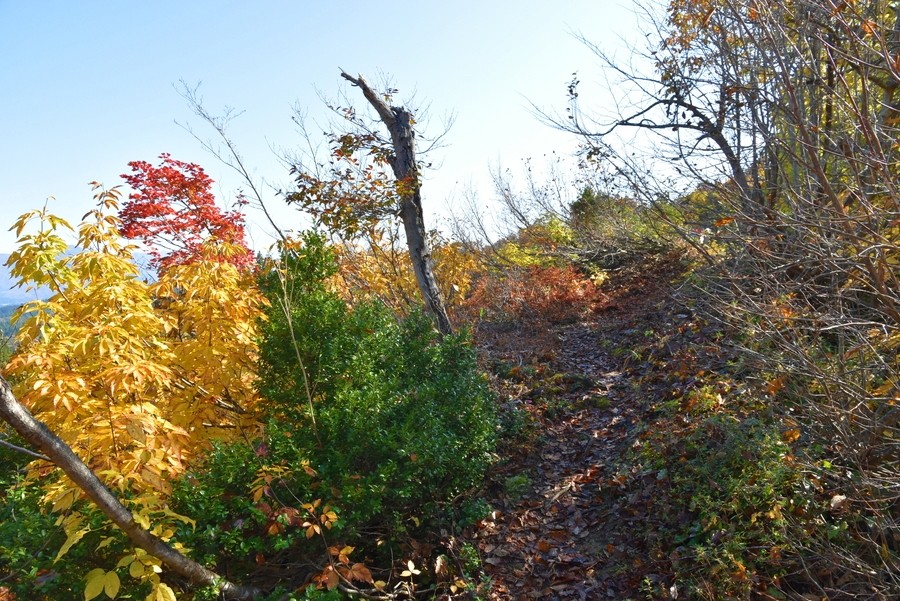 f:id:threepeaks:20211110201551j:plain