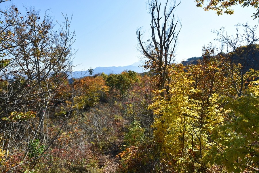 f:id:threepeaks:20211110202120j:plain