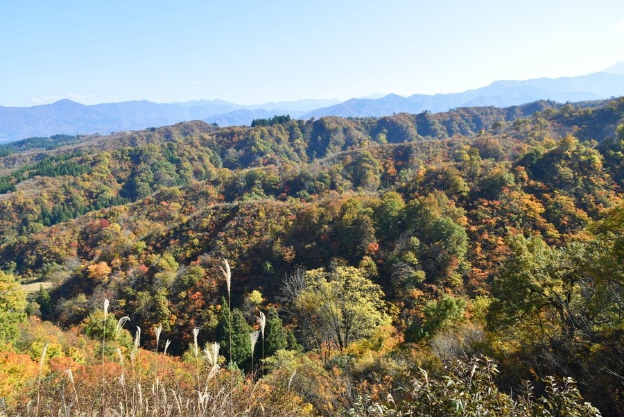 f:id:threepeaks:20211110202629j:plain