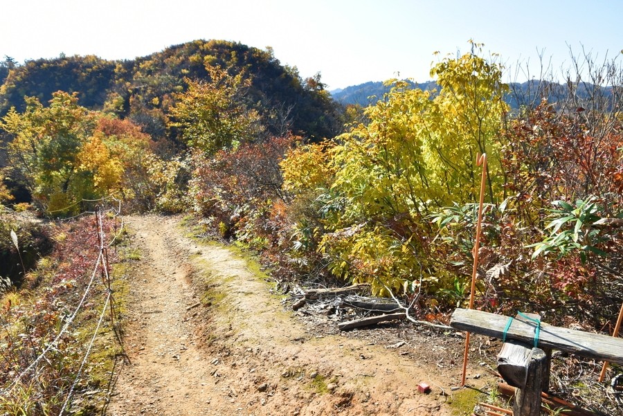 f:id:threepeaks:20211110202659j:plain