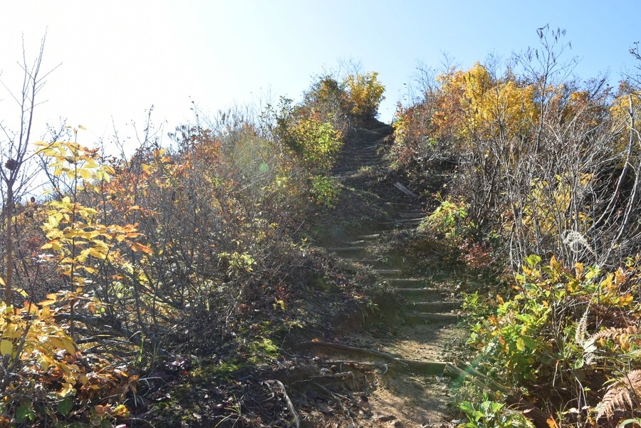 f:id:threepeaks:20211110203118j:plain