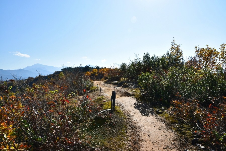 f:id:threepeaks:20211110203242j:plain