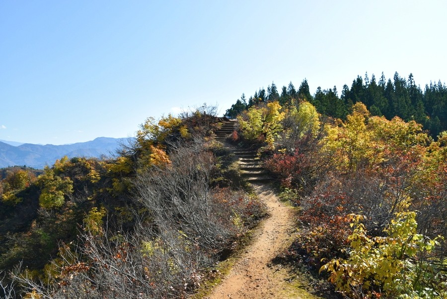 f:id:threepeaks:20211110205128j:plain