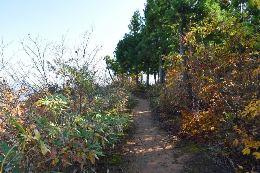 f:id:threepeaks:20211110205256j:plain