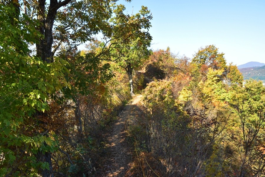 f:id:threepeaks:20211110212448j:plain