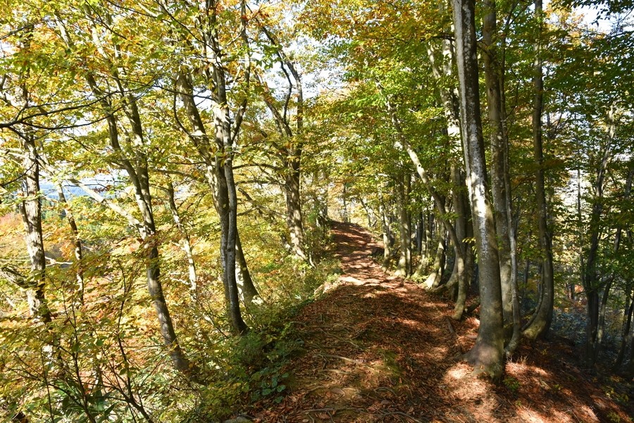 f:id:threepeaks:20211110212620j:plain