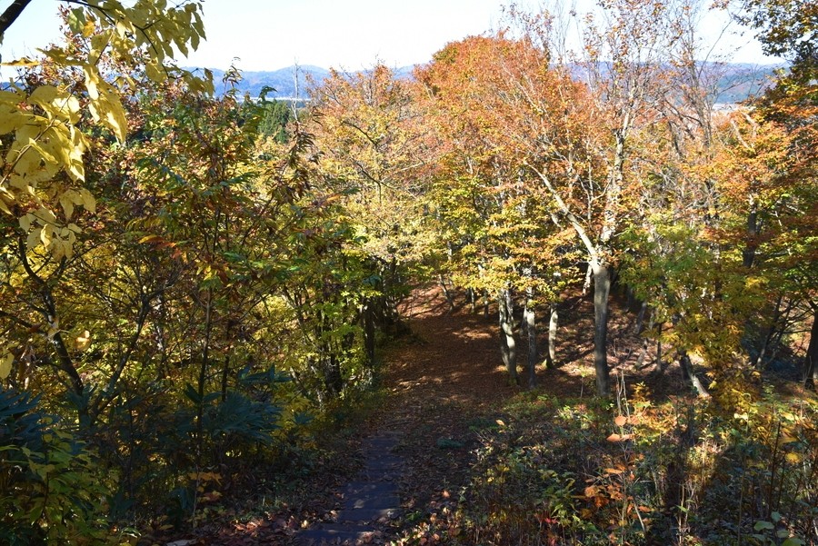 f:id:threepeaks:20211110213149j:plain