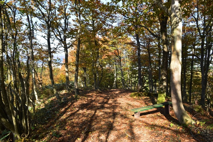 f:id:threepeaks:20211110213252j:plain