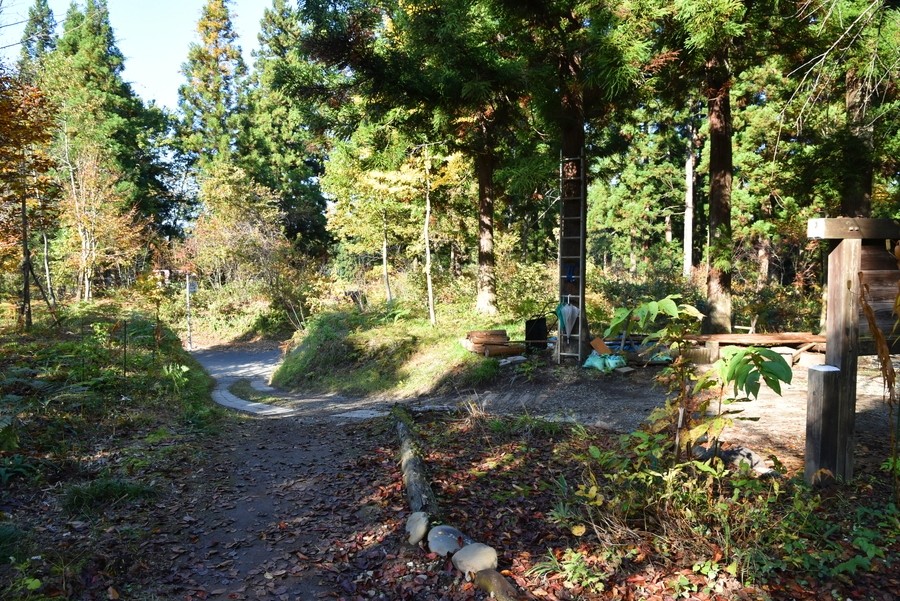 f:id:threepeaks:20211110213357j:plain