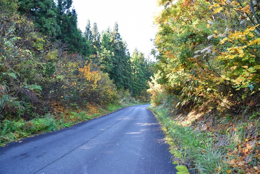 f:id:threepeaks:20211110213634j:plain